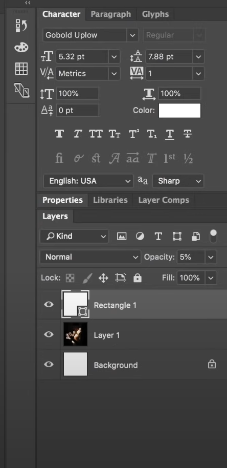 screenshot of Adobe InDesign